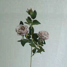 Load image into Gallery viewer, Austin Rose 3 Heads Artificial Flower Stem 7 Color Selections
