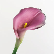 Load image into Gallery viewer, Calla Lily Artificial Silk Flower 75cm Stem 3 Color Selections CALLALILY001-003
