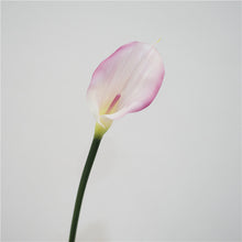 Load image into Gallery viewer, Calla Lily Artificial Silk Flower 75cm Stem 3 Color Selections CALLALILY001-003
