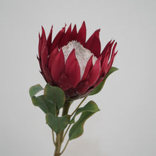 Load image into Gallery viewer, King Protea Artificial Silk Flower 73cm Stem PROTEA006-008
