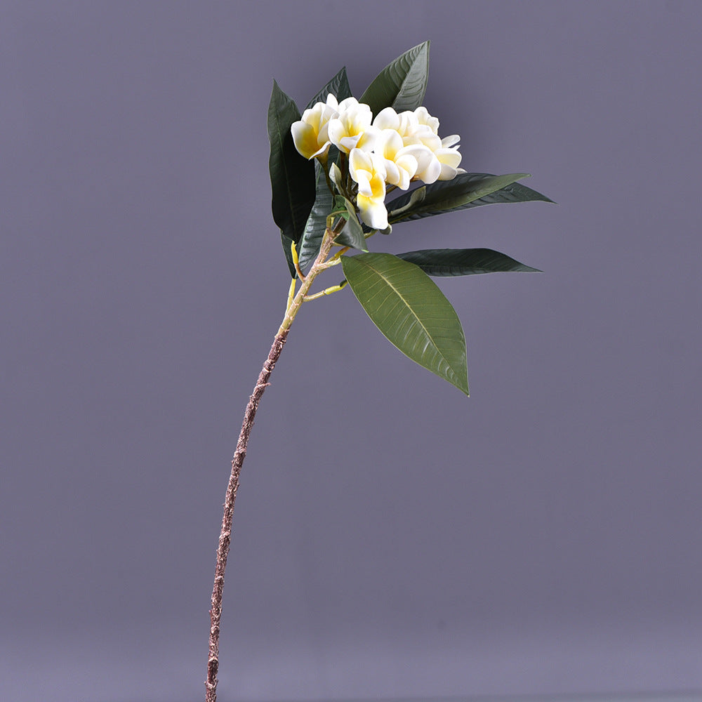 Frangipani Real Touch 77cm Artificial Flower white FRANGIPANI002