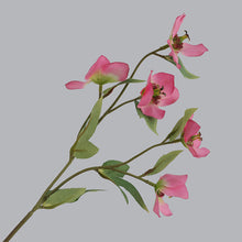 Load image into Gallery viewer, Helleborus Big Stem Artificial Silk Flower HELLEBORUS004-008
