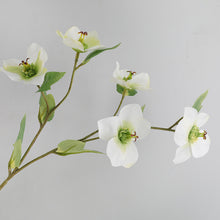 Load image into Gallery viewer, Helleborus Big Stem Artificial Silk Flower HELLEBORUS004-008
