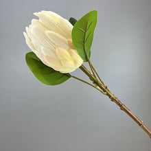 Load image into Gallery viewer, Protea Artificial Silk Flower 55cm White PROTEA018
