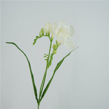 Load image into Gallery viewer, Freesia Artificial Silk Flower 70cm White FREESIA001
