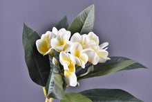 Load image into Gallery viewer, Frangipani Real Touch 77cm Artificial Flower white FRANGIPANI002
