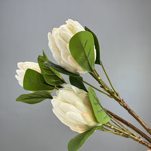 Load image into Gallery viewer, Protea Artificial Silk Flower 55cm White PROTEA018
