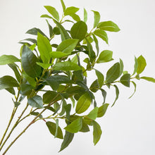 Load image into Gallery viewer, Bayleaf 68cm Artificial Greenery Stem BAYLEAF001
