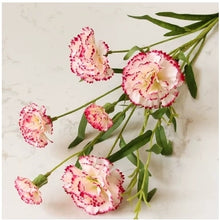 Load image into Gallery viewer, Carnation Artificial Silk Flowers Spray Stem 70cm CARNATION001-006
