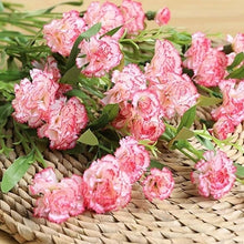 Load image into Gallery viewer, Carnation Artificial Silk Flowers Spray Stem 70cm CARNATION001-006
