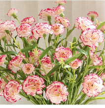 Load image into Gallery viewer, Carnation Artificial Silk Flowers Spray Stem 70cm CARNATION001-006
