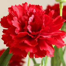 Load image into Gallery viewer, Carnation Artificial Silk Flowers Spray Stem 70cm CARNATION001-006
