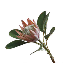 Load image into Gallery viewer, King Protea Artificial Flowers Stem PROTEA0001-0003
