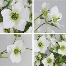 Load image into Gallery viewer, Helleborus Big Stem Artificial Silk Flower HELLEBORUS004-008
