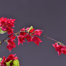 Load image into Gallery viewer, Bougainvillea Artificial Silk Flower Pink 140cm BOUGAINVILLEA001
