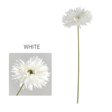 Load image into Gallery viewer, Gerbera Fluffy Petals Artificial Silk Flower Stem 5 Color Selections GERBERA007-0011
