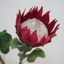 Load image into Gallery viewer, King Protea Artificial Silk Flower 73cm Stem PROTEA006-008
