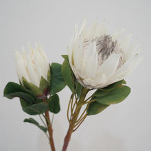 Load image into Gallery viewer, King Protea Artificial Silk Flower 73cm Stem PROTEA006-008
