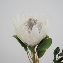 Load image into Gallery viewer, King Protea Artificial Silk Flower 73cm Stem PROTEA006-008
