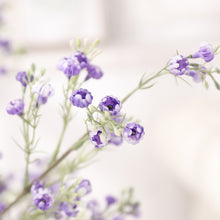 Load image into Gallery viewer, Baby Breath Gypsophila Artificial Silk Flowers Stem 003-004
