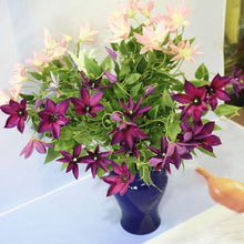 Load image into Gallery viewer, Clematis 70cm Artificial Silk Flowers Stem CLEMATIS001-004
