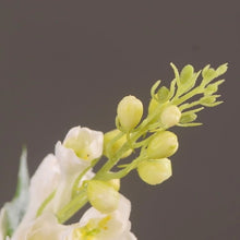 Load image into Gallery viewer, Delphinium Real Touch Artificial Silk Flower 70cm Stem White DELPHINIUM001
