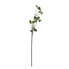 Load image into Gallery viewer, Aglaia Odorata Artificial Flowers Leaves Stem AGLAIA001
