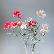 Load image into Gallery viewer, Cosmos Flower Artificial Silk 60cm 15 Colour Selections COSMO001-022
