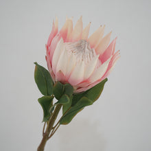 Load image into Gallery viewer, King Protea Artificial Silk Flower 73cm Stem PROTEA006-008
