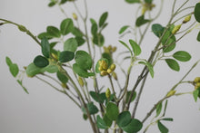 Load image into Gallery viewer, Aglaia Odorata Artificial Flowers Leaves Stem AGLAIA001
