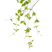 Load image into Gallery viewer, Clematis Leaf Artificial Silk Greenery 100cm Stem CLEMATISLEAF001
