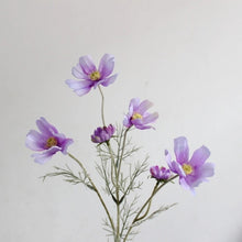 Load image into Gallery viewer, Cosmos Flower Artificial Silk 60cm 15 Colour Selections COSMO001-022
