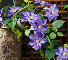 Load image into Gallery viewer, Clematis 3 Heads Artificial Silk Flowers 80cm Stem CLEMATIS0001-0004
