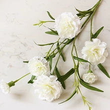 Load image into Gallery viewer, Carnation Artificial Silk Flowers Spray Stem 70cm CARNATION001-006
