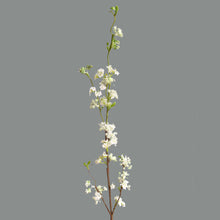 Load image into Gallery viewer, Fontanesia Artificial Silk Flower Stem 100cm FONTANESIA001
