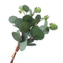 Load image into Gallery viewer, Eucalyptus Artificial Greenery Bunch EUCALYPTUS007-008
