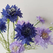 Load image into Gallery viewer, Cornflower 5 Heads Artificial Silk Flower 55cm Stem CORNFLOWER001-004
