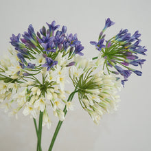 Load image into Gallery viewer, Agapanthus Flower Lily of The Nile Artificial Silk Flower Stem AGAPANTHUS001002
