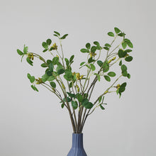 Load image into Gallery viewer, Aglaia Odorata Artificial Flowers Leaves Stem AGLAIA001
