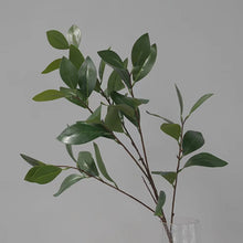 Load image into Gallery viewer, Camellia Leaf Artificial Greenery 90cm Stem CAMELLIALEAF001
