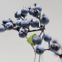 Load image into Gallery viewer, Berry Artificial Silk Flower 42cm Blue BERRY005
