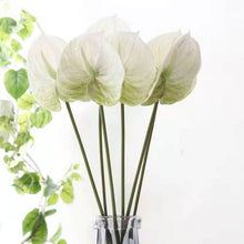 Load image into Gallery viewer, Anthuriums Artificial Silk Flowers Stem ANTHURIUM001-003
