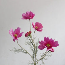 Load image into Gallery viewer, Cosmos Flower Artificial Silk 60cm 15 Colour Selections COSMO001-022
