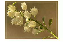 Load image into Gallery viewer, Bell Flower Artificial Silk Flowers Stem BELLFLOWER001-003
