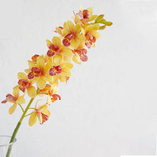 Load image into Gallery viewer, Cymbidium Orchid Real Touch Artificial Silk Flowers 80 Stem ORCHID0003
