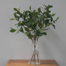 Load image into Gallery viewer, Camellia Leaf Artificial Greenery 90cm Stem CAMELLIALEAF001
