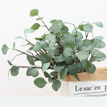 Load image into Gallery viewer, Eucalyptus with Fruit Artificial Greenery 66cm Stem EUCALYPTUS0001
