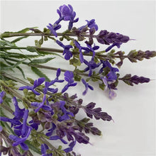 Load image into Gallery viewer, Lavender Artificial Silk Flower 39cm Stem LAVENDER002
