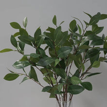 Load image into Gallery viewer, Camellia Leaf Artificial Greenery 90cm Stem CAMELLIALEAF001
