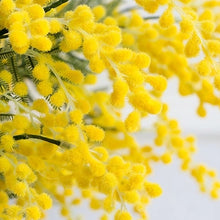 Load image into Gallery viewer, Acacia Artificial Silk Flower Stem Yellow ACACIA001
